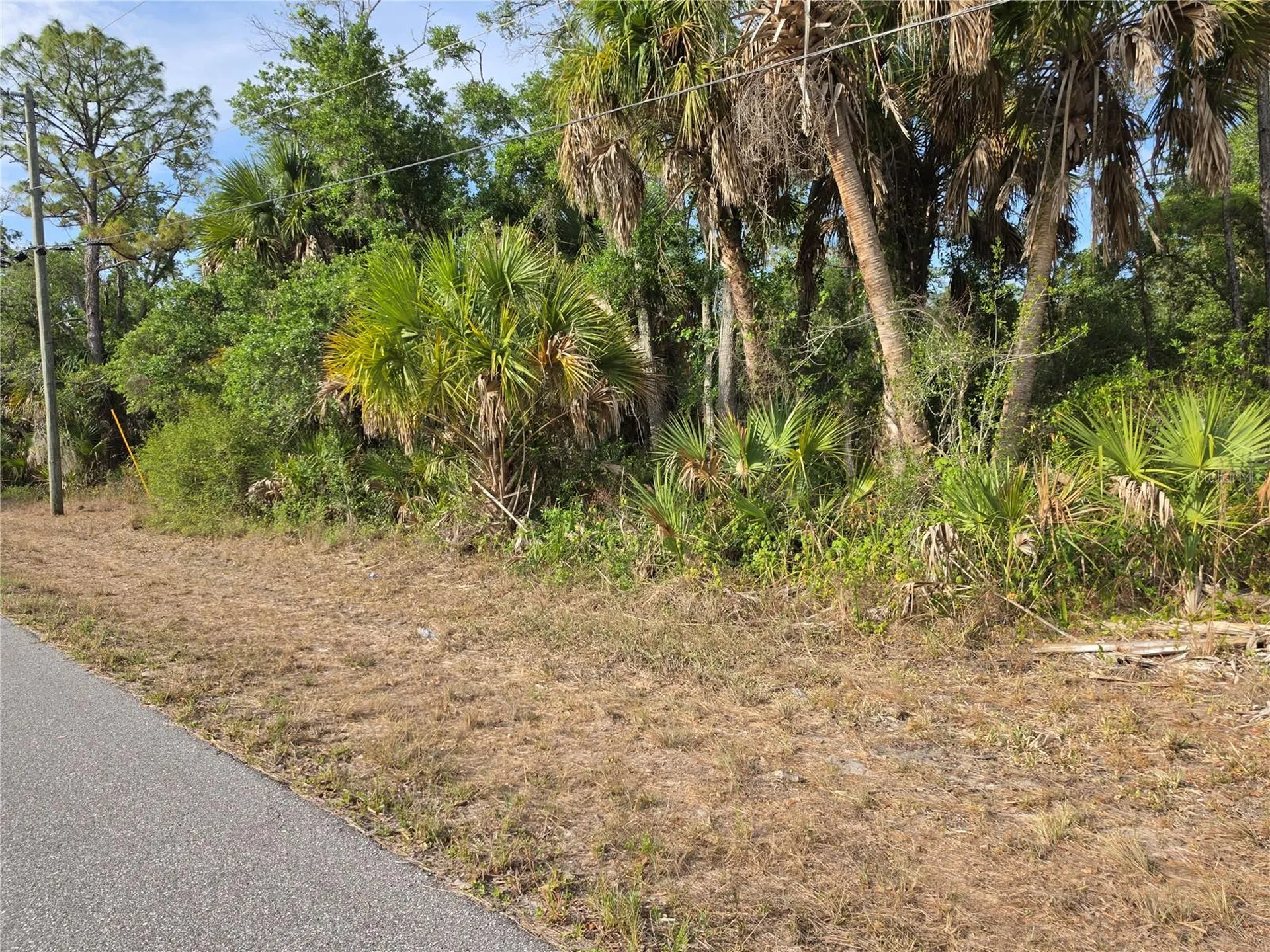 1193 Hammacher Lane Port Charlotte FL 33953