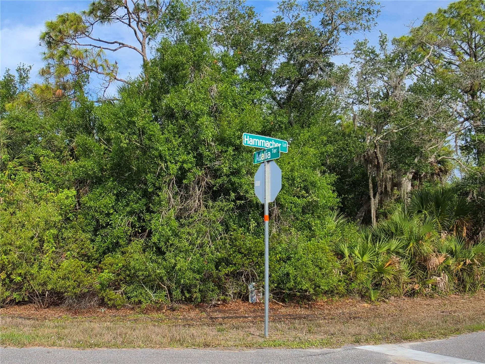 1193 Hammacher Lane Port Charlotte FL 33953