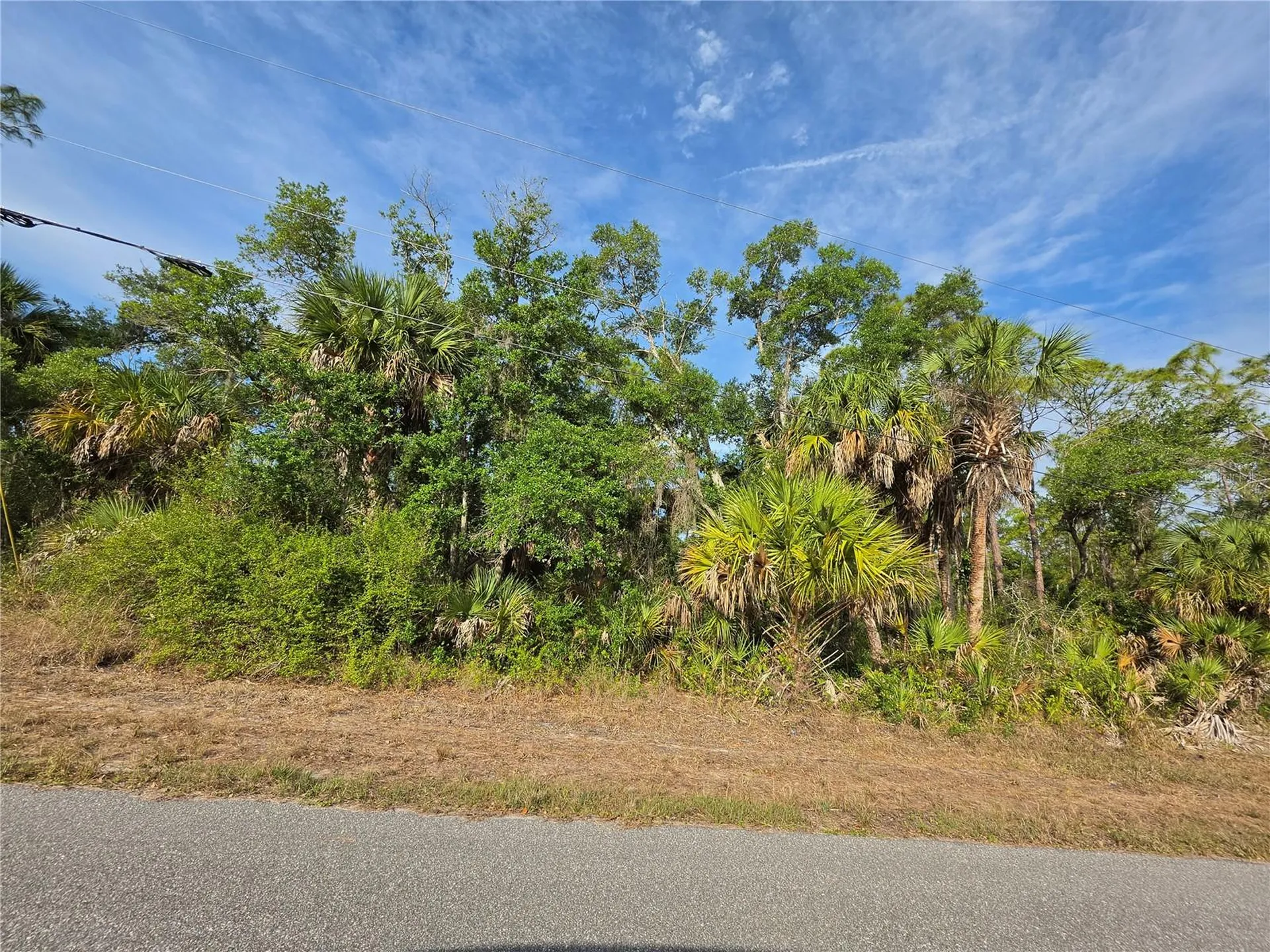 1193 Hammacher Lane Port Charlotte FL 33953