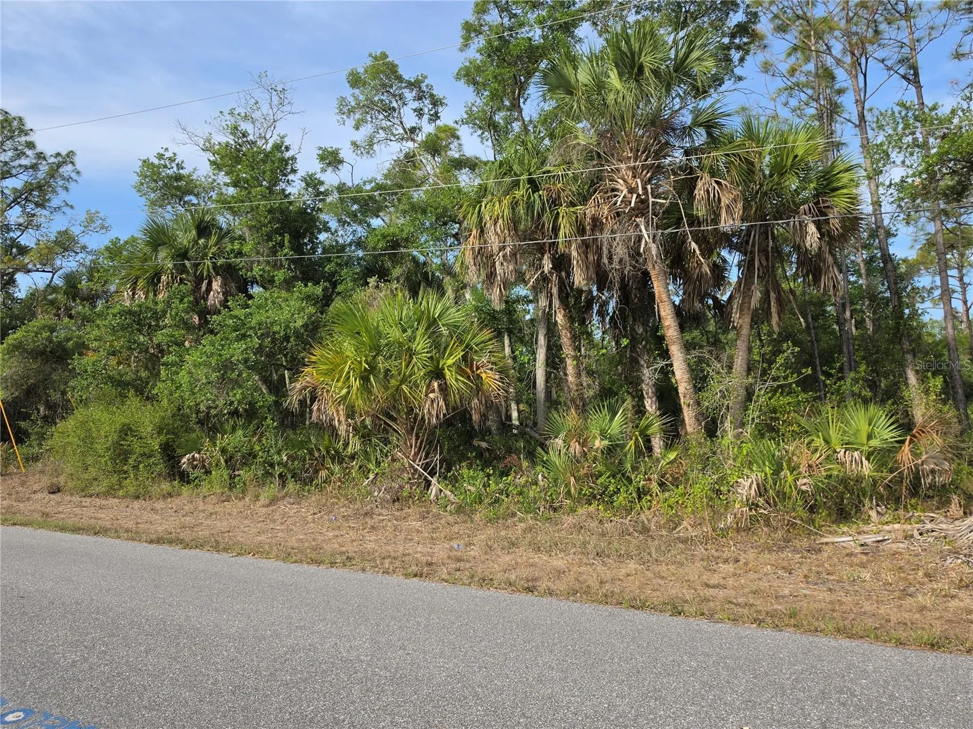 1193 Hammacher Lane Port Charlotte FL 33953