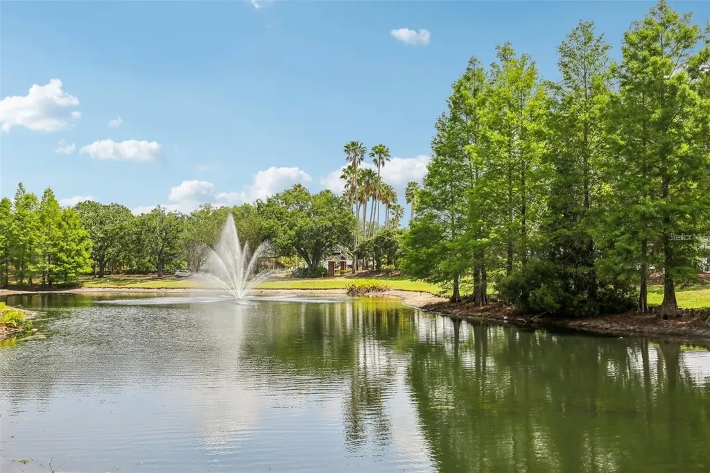 17104 Carrington Park Drive Tampa FL 33647