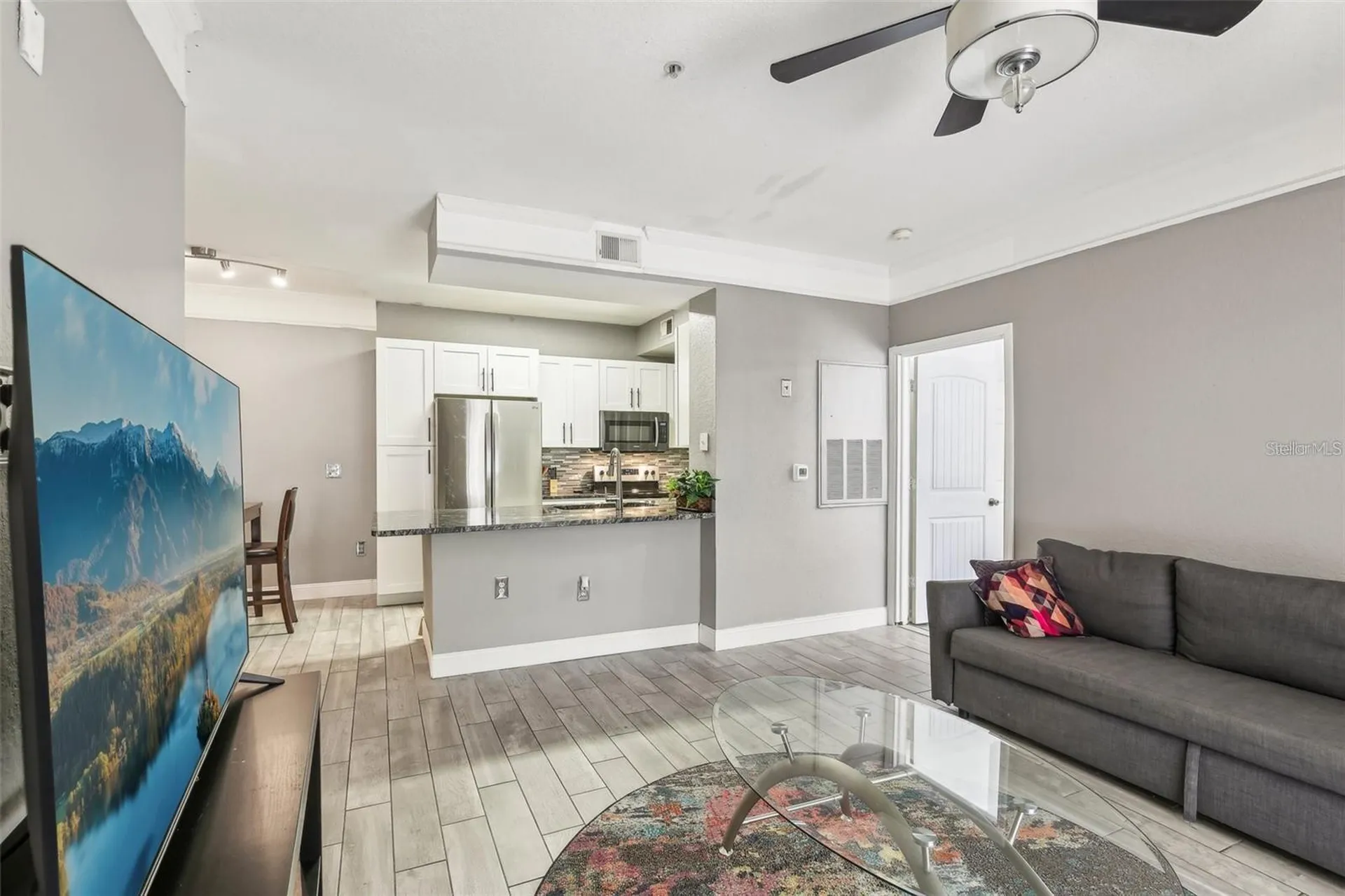 17104 Carrington Park Drive Tampa FL 33647