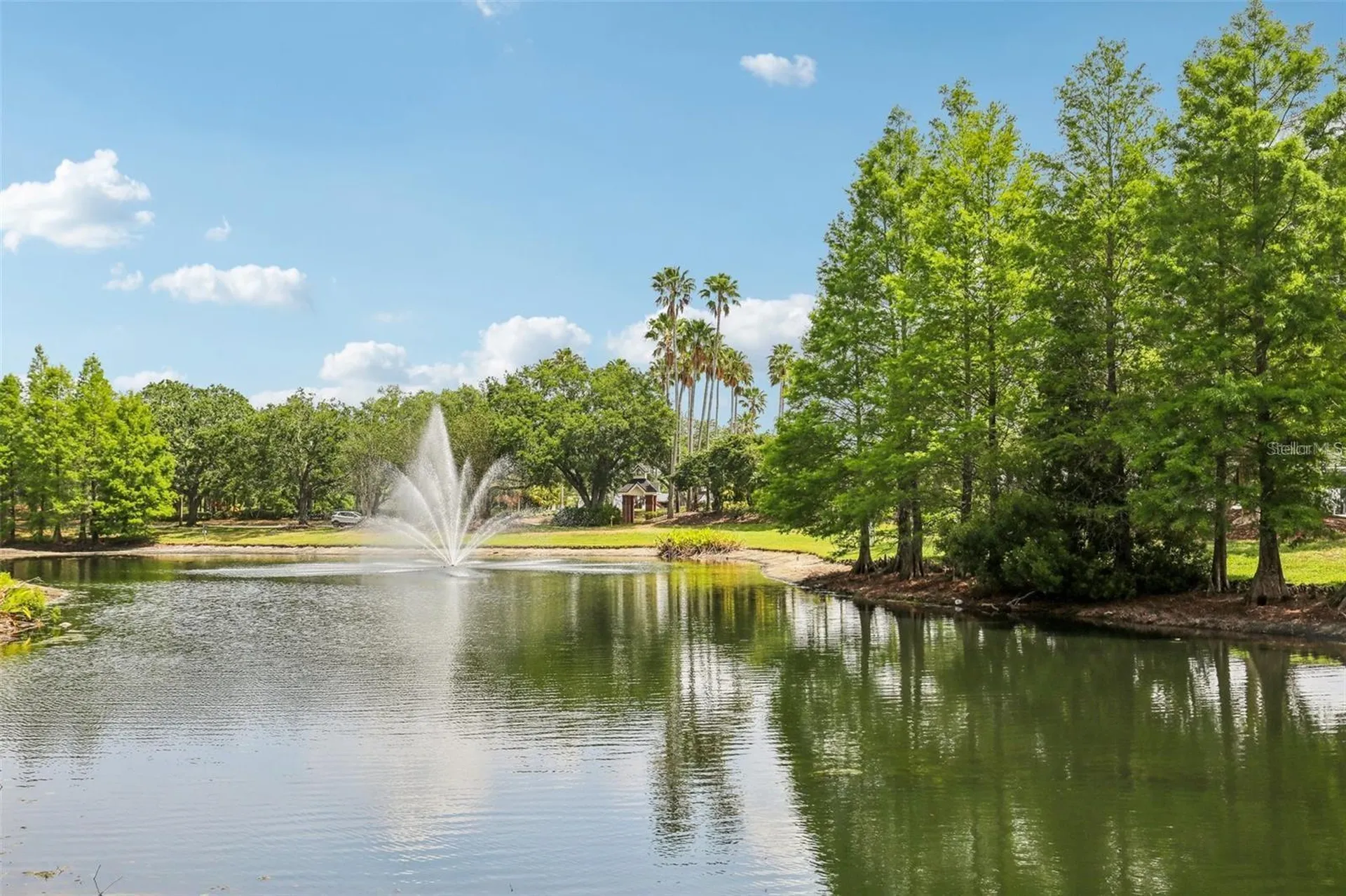 17104 Carrington Park Drive Tampa FL 33647