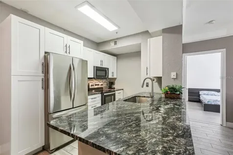 17104 Carrington Park Drive Tampa FL 33647