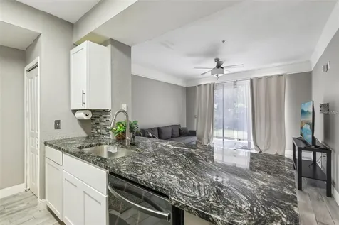 17104 Carrington Park Drive Tampa FL 33647