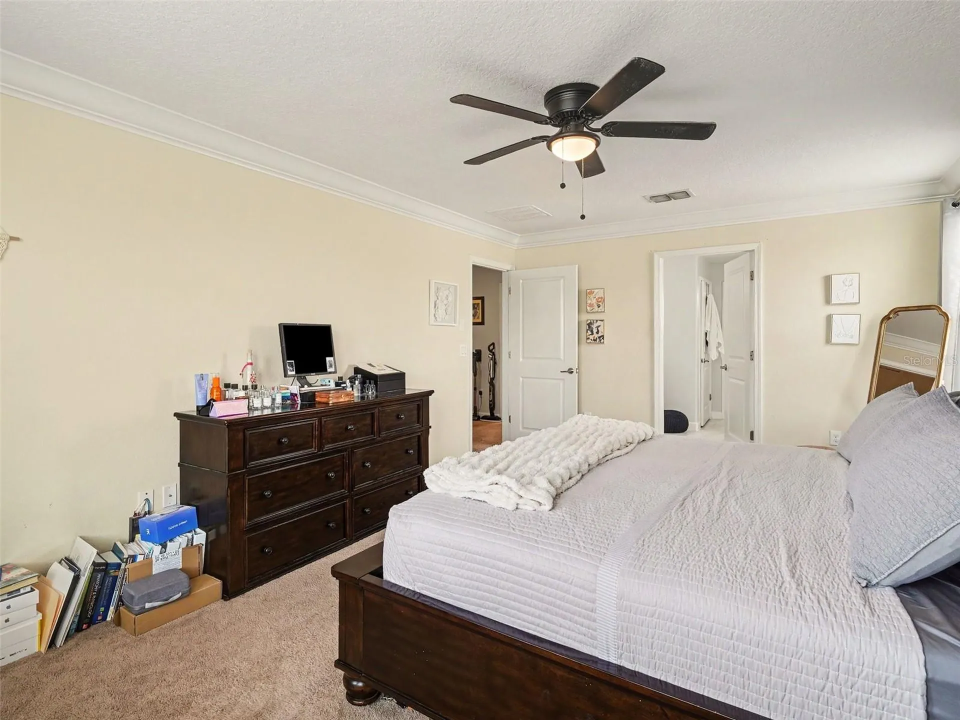 12027 Cardinal Flower Drive Riverview FL 33579
