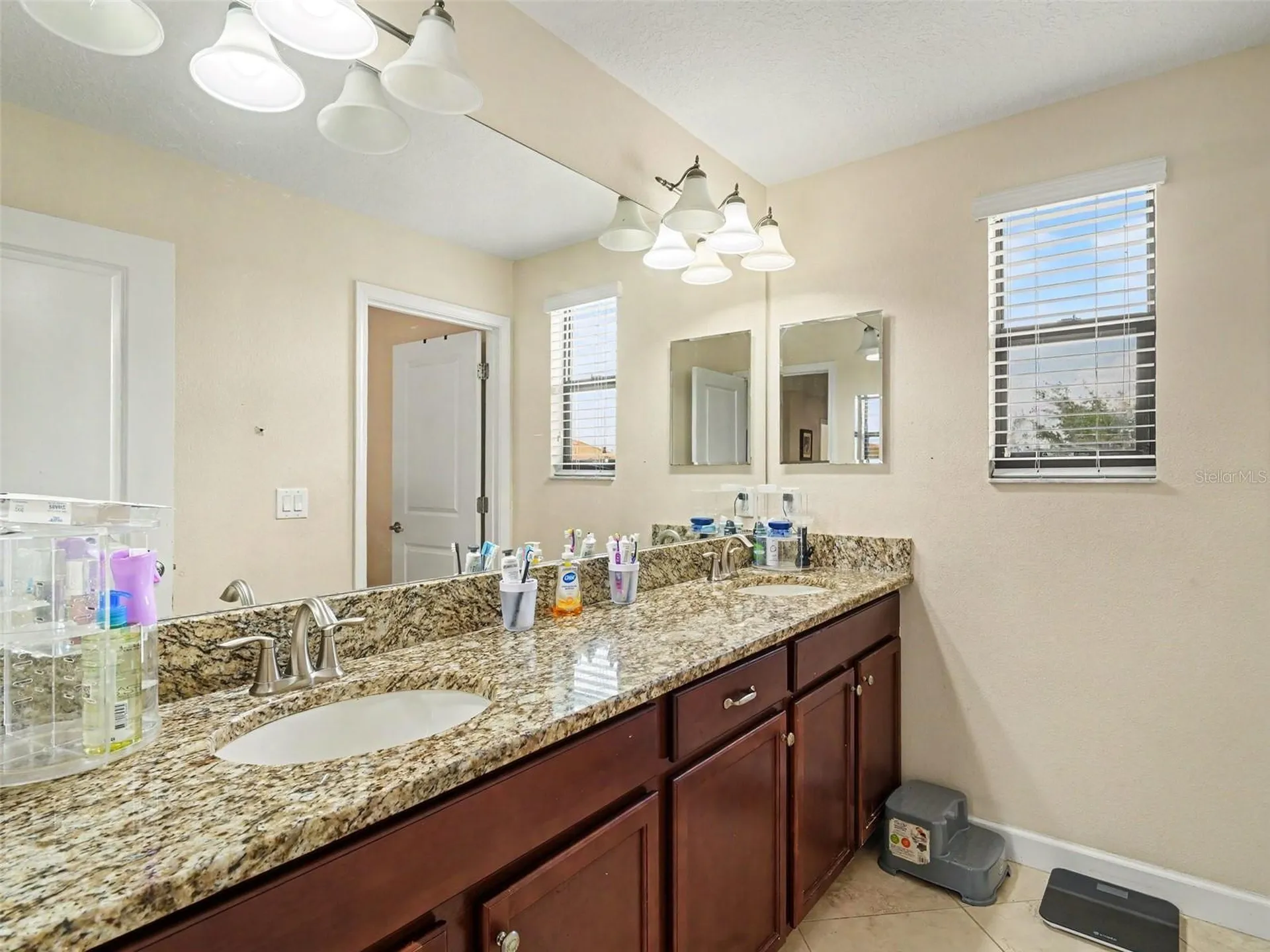 12027 Cardinal Flower Drive Riverview FL 33579