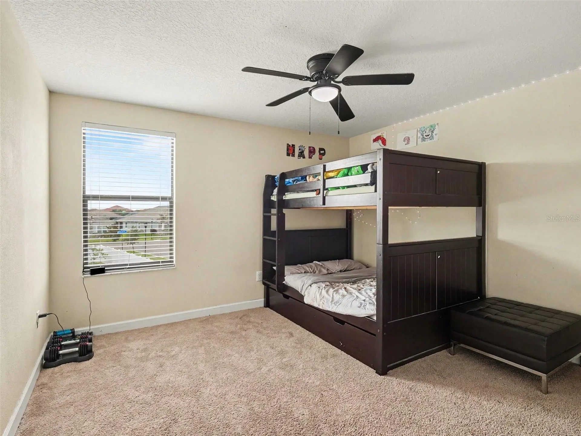 12027 Cardinal Flower Drive Riverview FL 33579