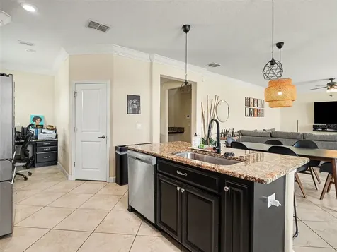 12027 Cardinal Flower Drive Riverview FL 33579