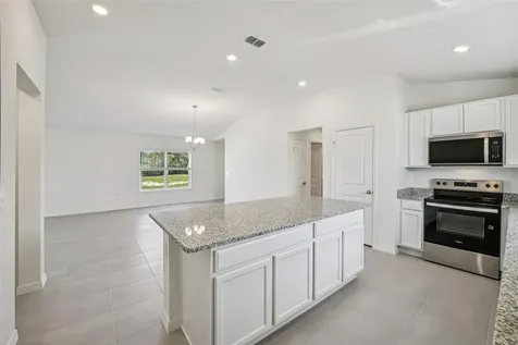 20404 Lavender Bloom Loop Mount Dora FL 32757