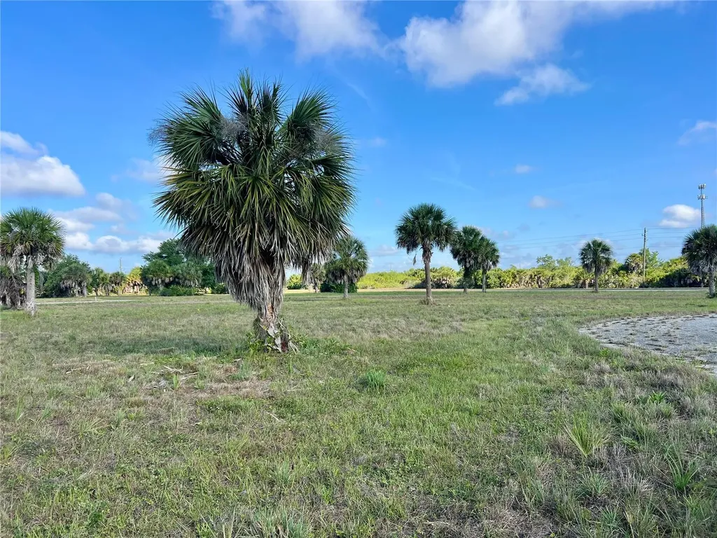 13 Mango Court Placida FL 33946