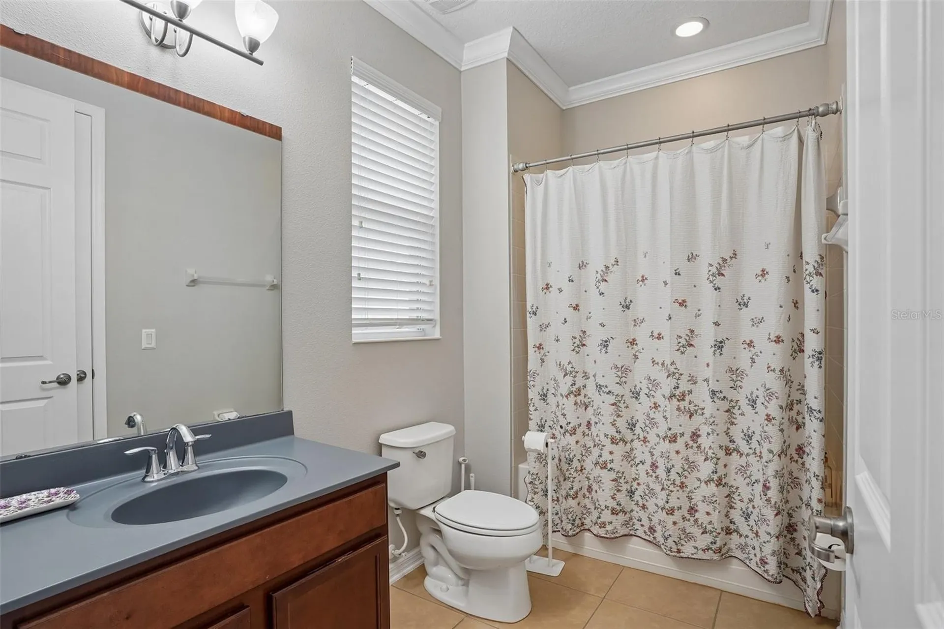 3184 Park Meadow Drive Apopka FL 32703