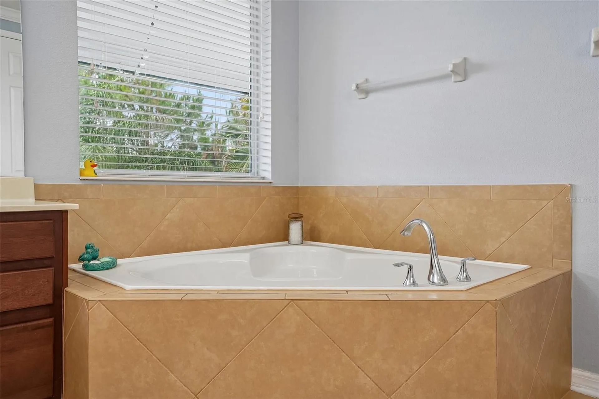 3184 Park Meadow Drive Apopka FL 32703