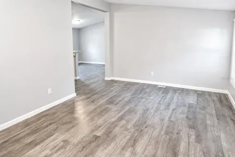 4517 La Force Street Zephyrhills FL 33542