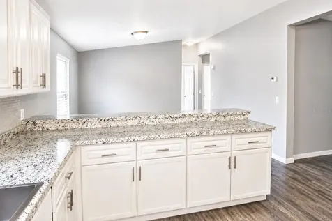 4517 La Force Street Zephyrhills FL 33542