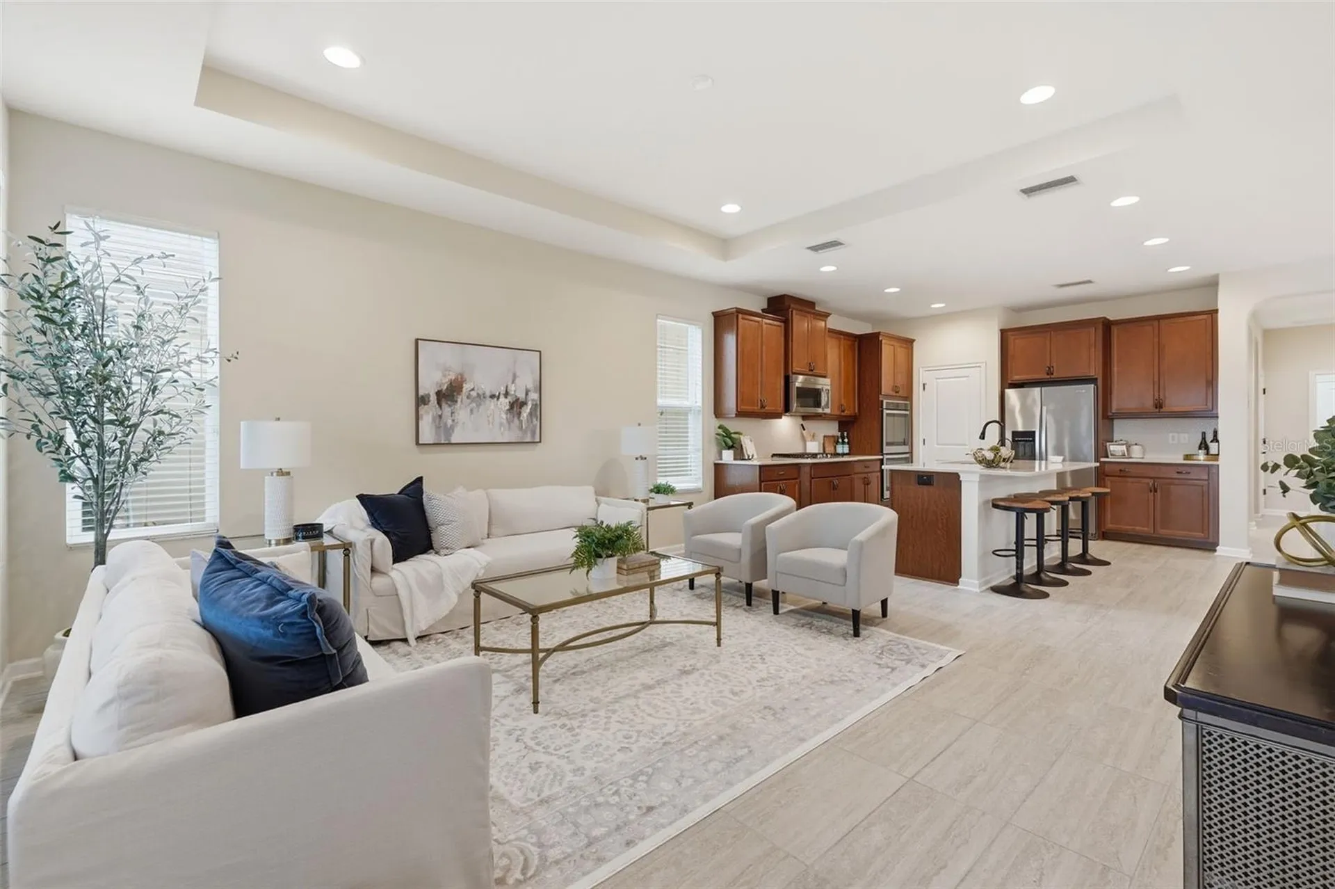 29241 Perilli Place Wesley Chapel FL 33543