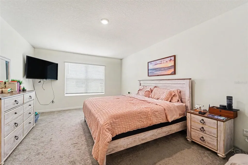 33567 Hamilton Hill Lane Wesley Chapel FL 33545