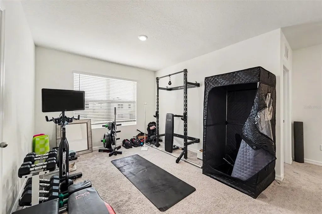 33567 Hamilton Hill Lane Wesley Chapel FL 33545