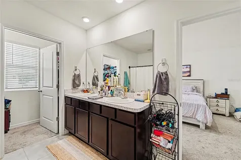33567 Hamilton Hill Lane Wesley Chapel FL 33545