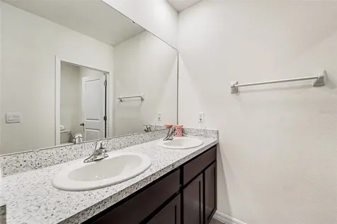 33567 Hamilton Hill Lane Wesley Chapel FL 33545