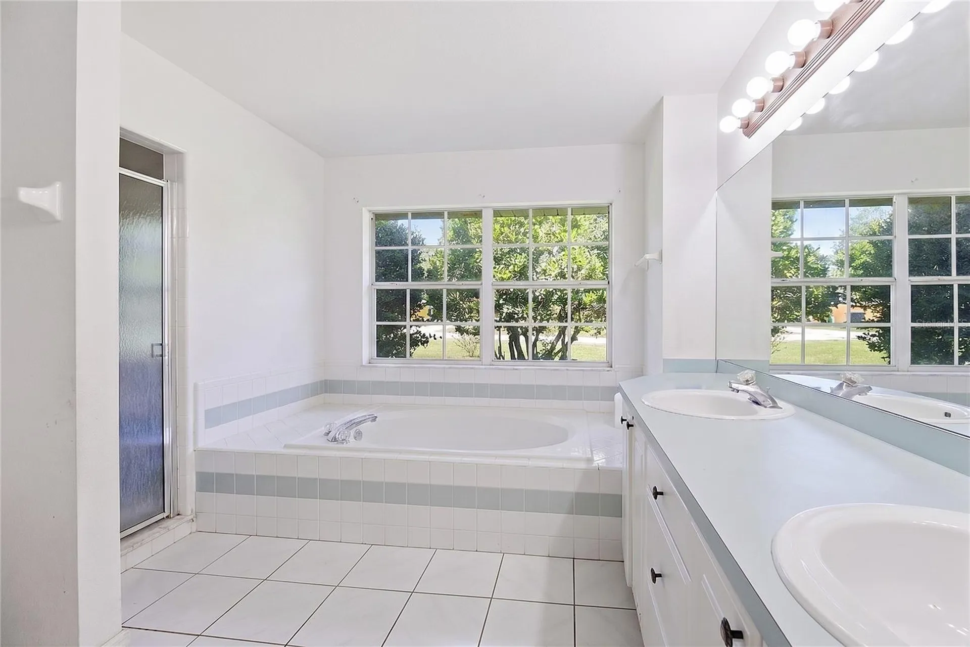 2879 Cypressview Court Kissimmee FL 34746