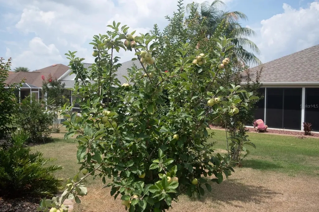 2633 English Ivy Circle The Villages FL 32162