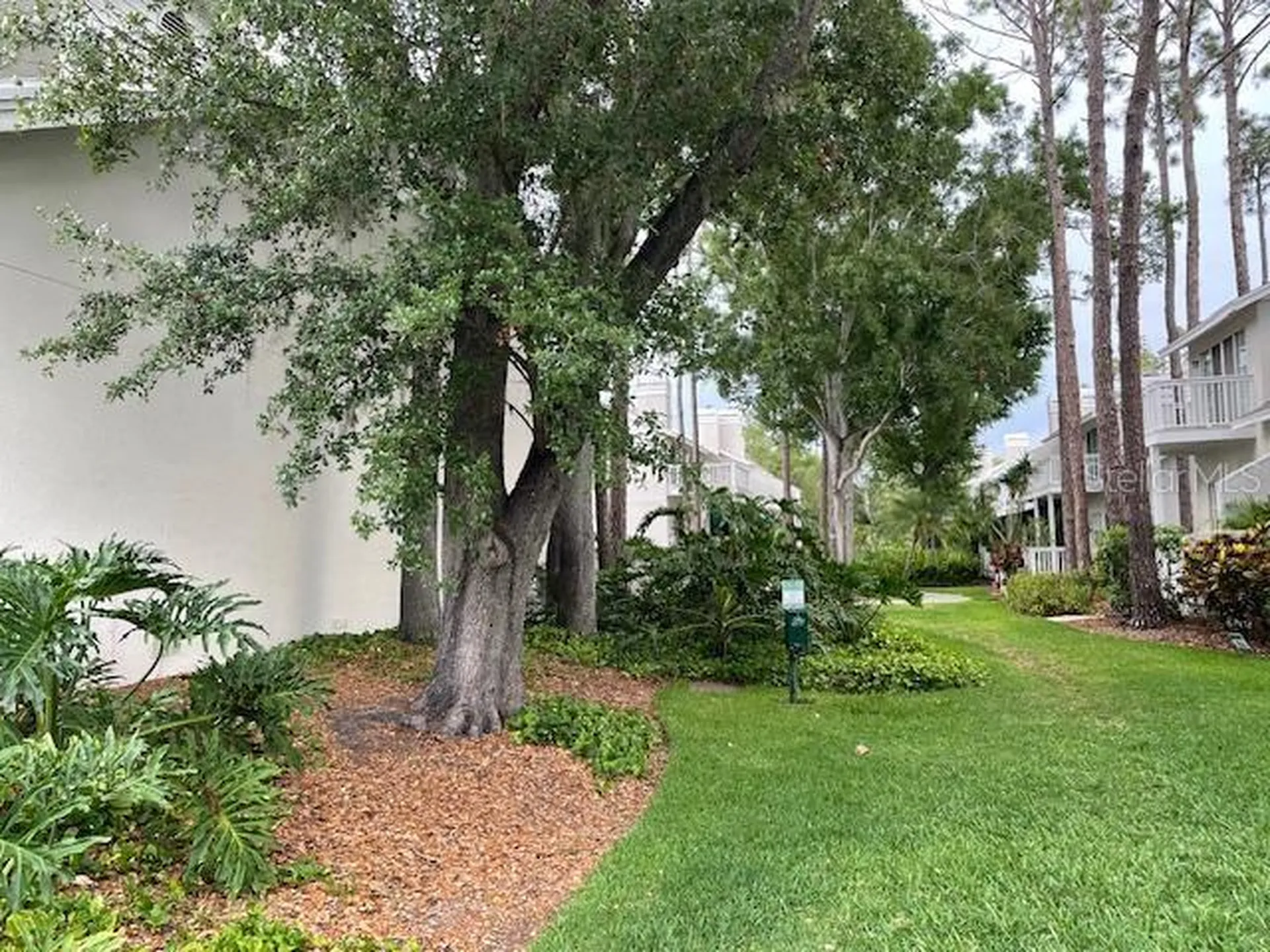 5112 Bayshore Boulevard Tampa FL 33611
