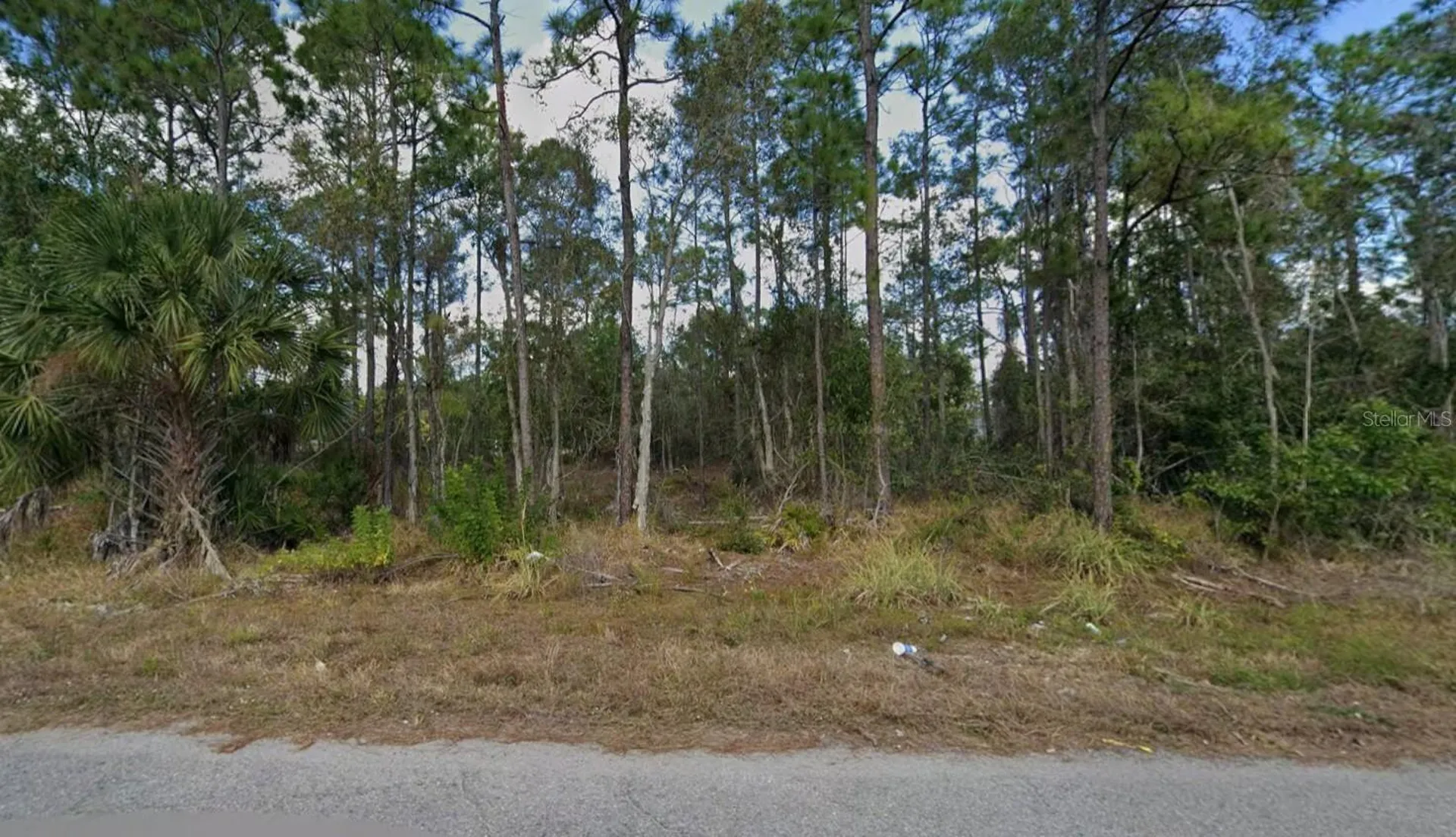 453 Conlee Street Lehigh Acres FL 33974