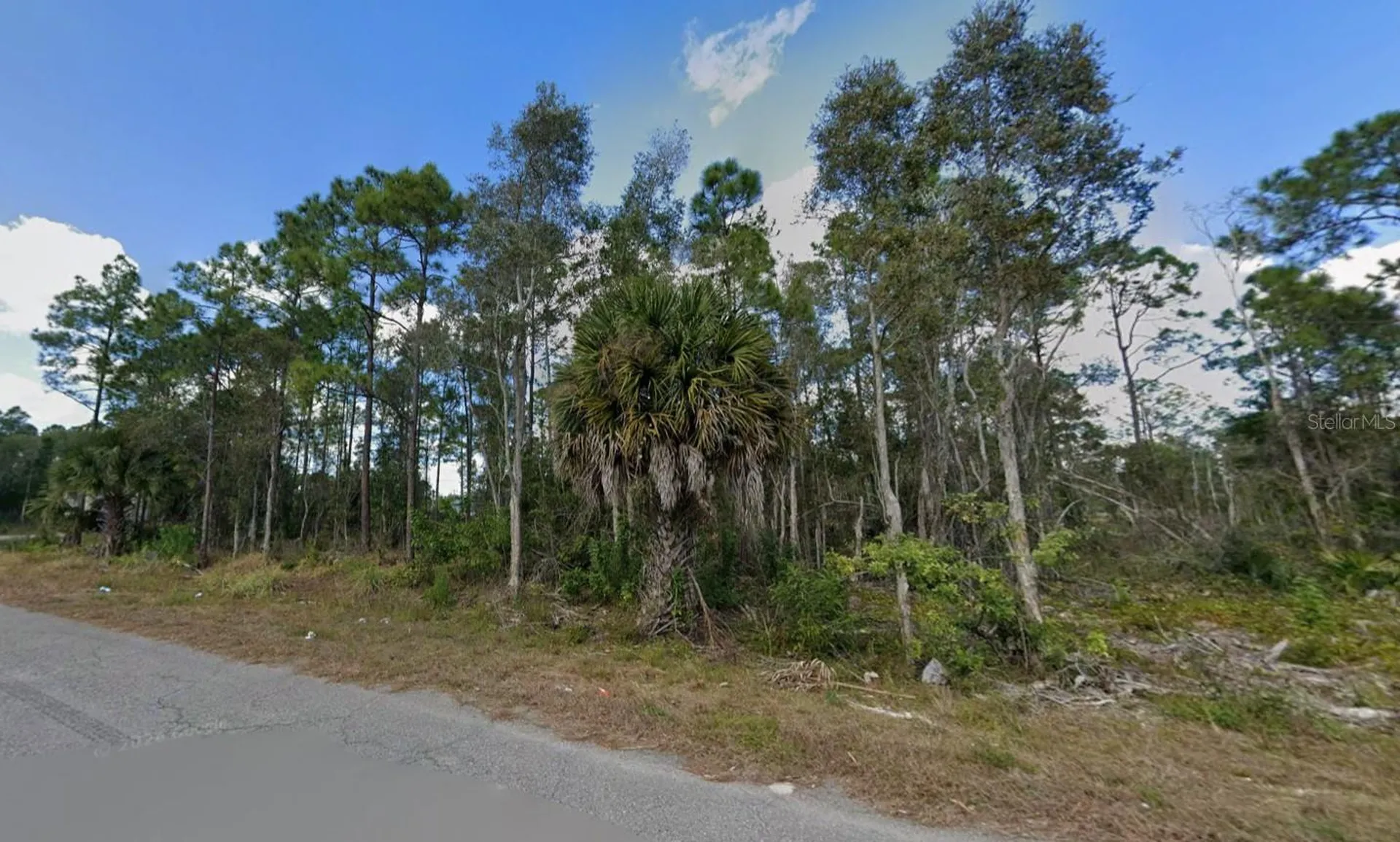 453 Conlee Street Lehigh Acres FL 33974