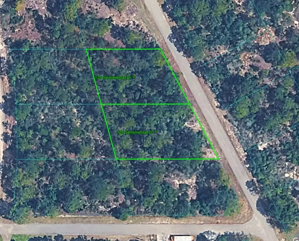 128 Sentimental Drive Lake Placid FL 33852