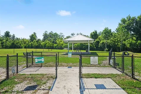 17745 Turning Leaf Circle Land O Lakes FL 34638