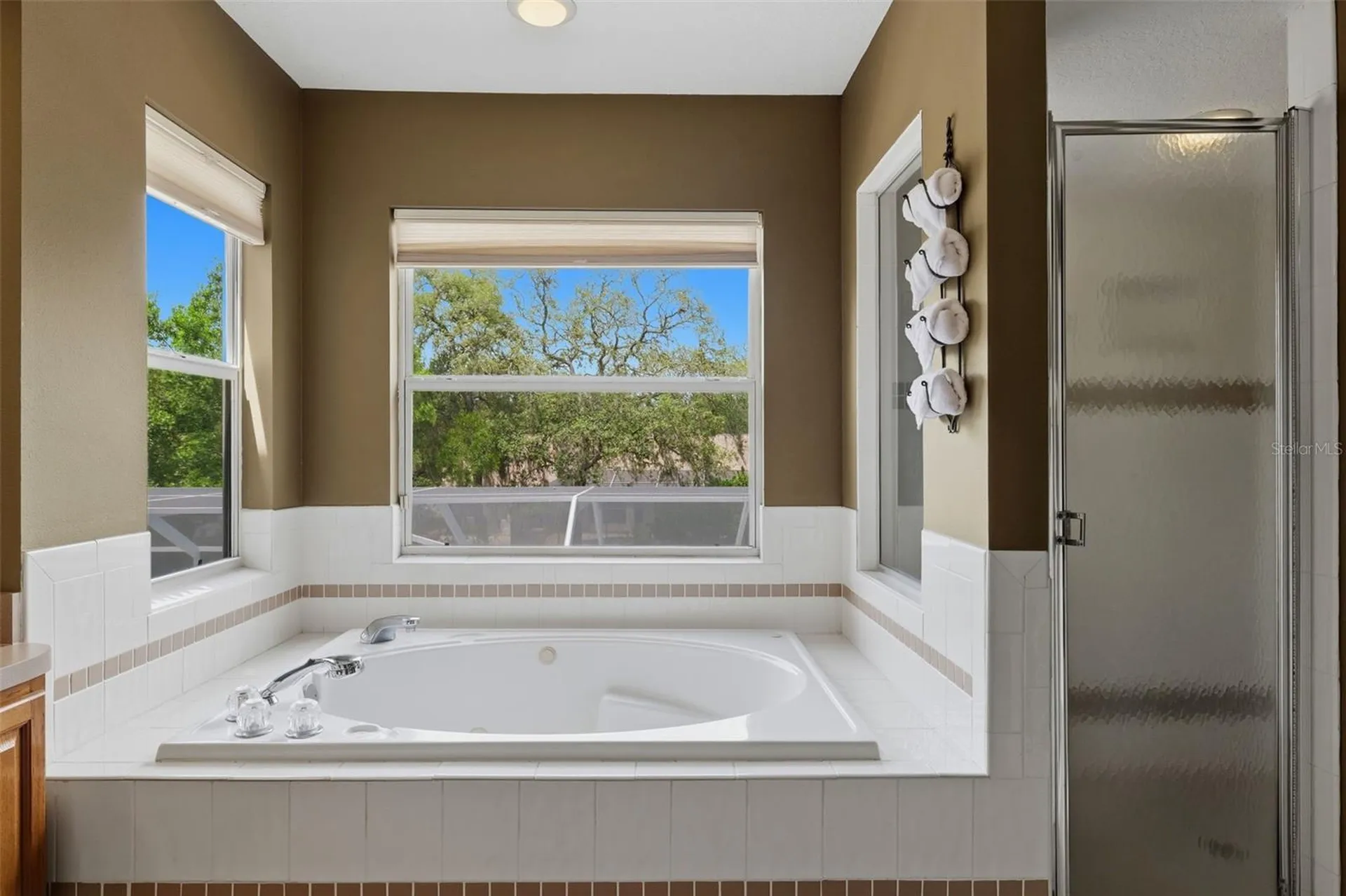 10019 Burbank Court New Port Richey FL 34654