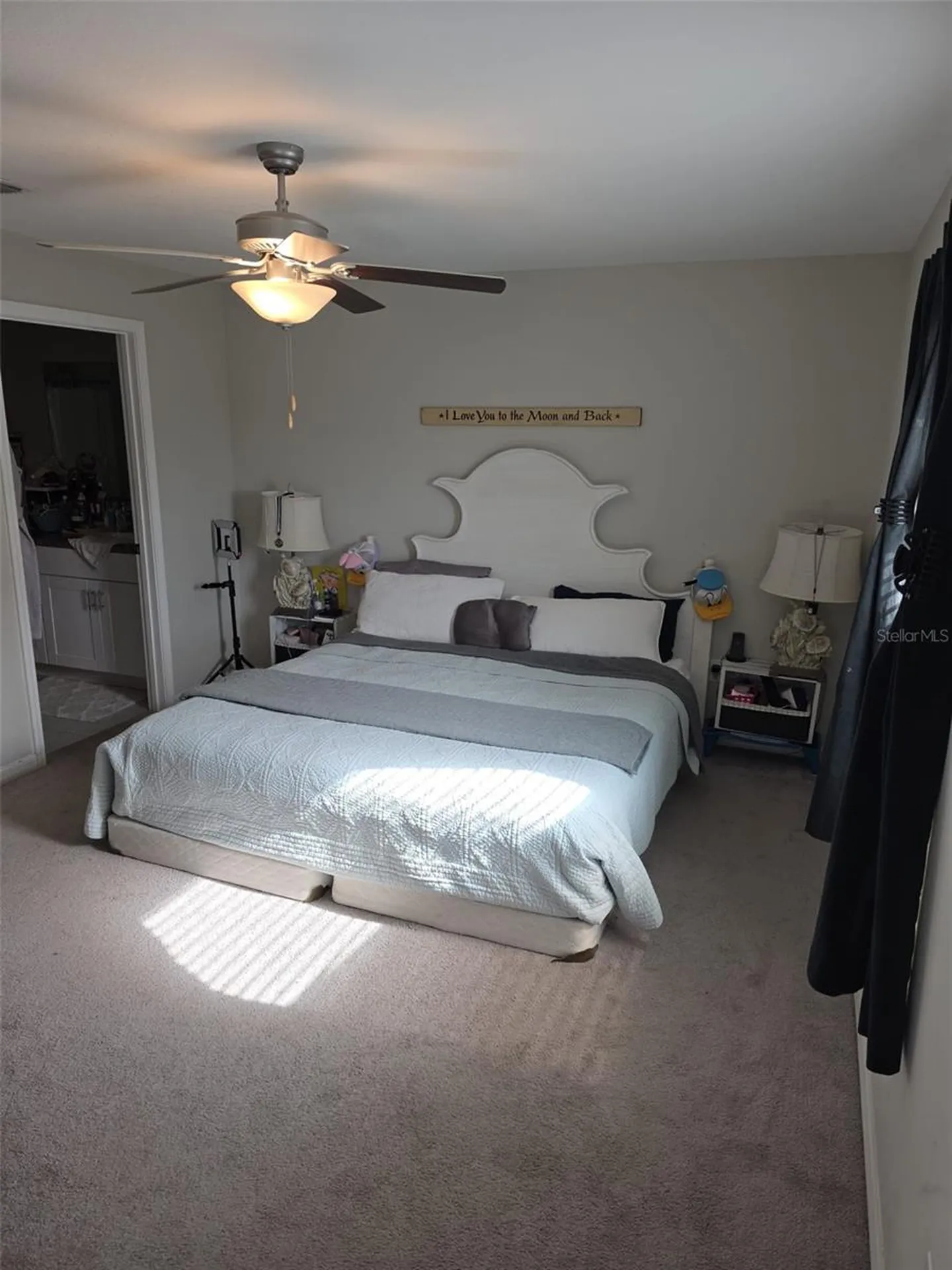 5104 Dandelion Street Apollo Beach FL 33572