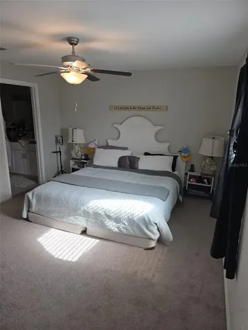 5104 Dandelion Street Apollo Beach FL 33572