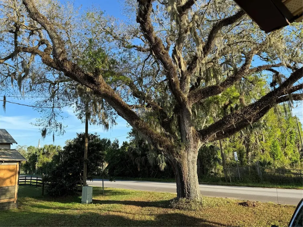 1673 Blackwelder Road De Leon Springs FL 32130