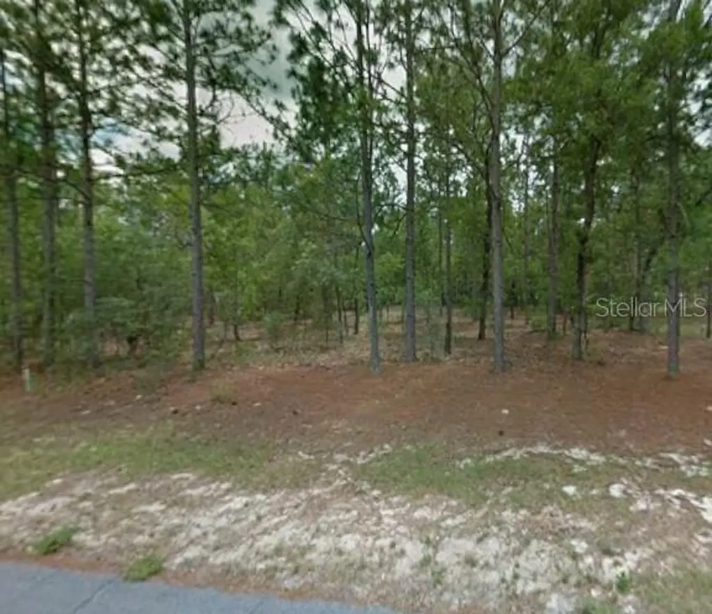 1204 W Fan Drive Citrus Springs FL 34434