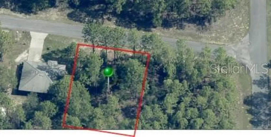 1204 W Fan Drive Citrus Springs FL 34434