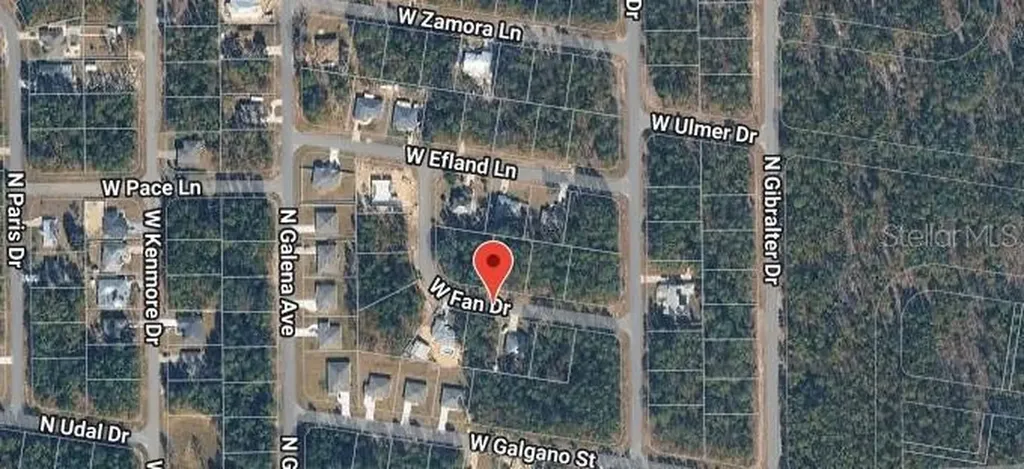 1204 W Fan Drive Citrus Springs FL 34434