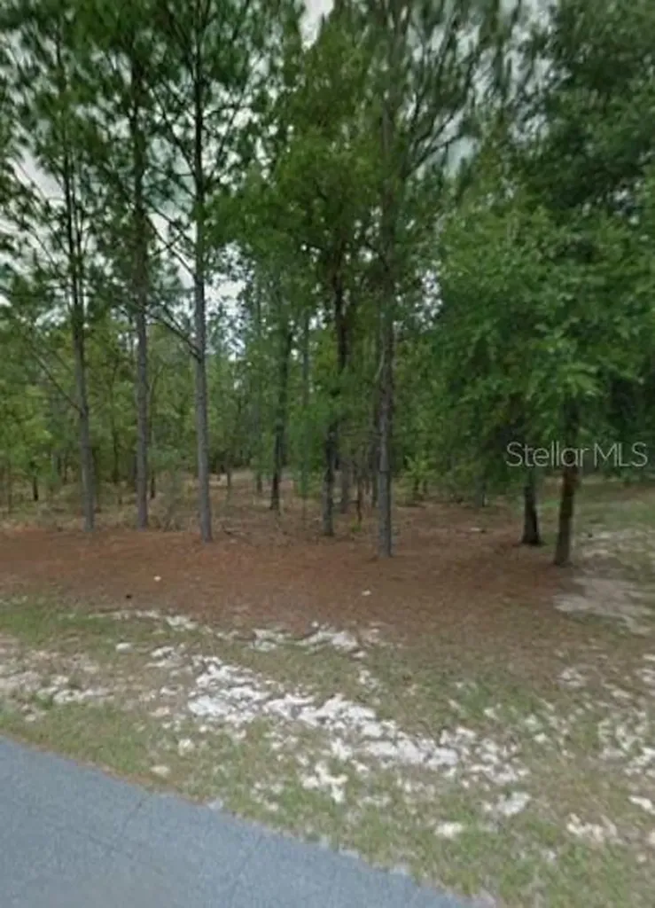 1204 W Fan Drive Citrus Springs FL 34434