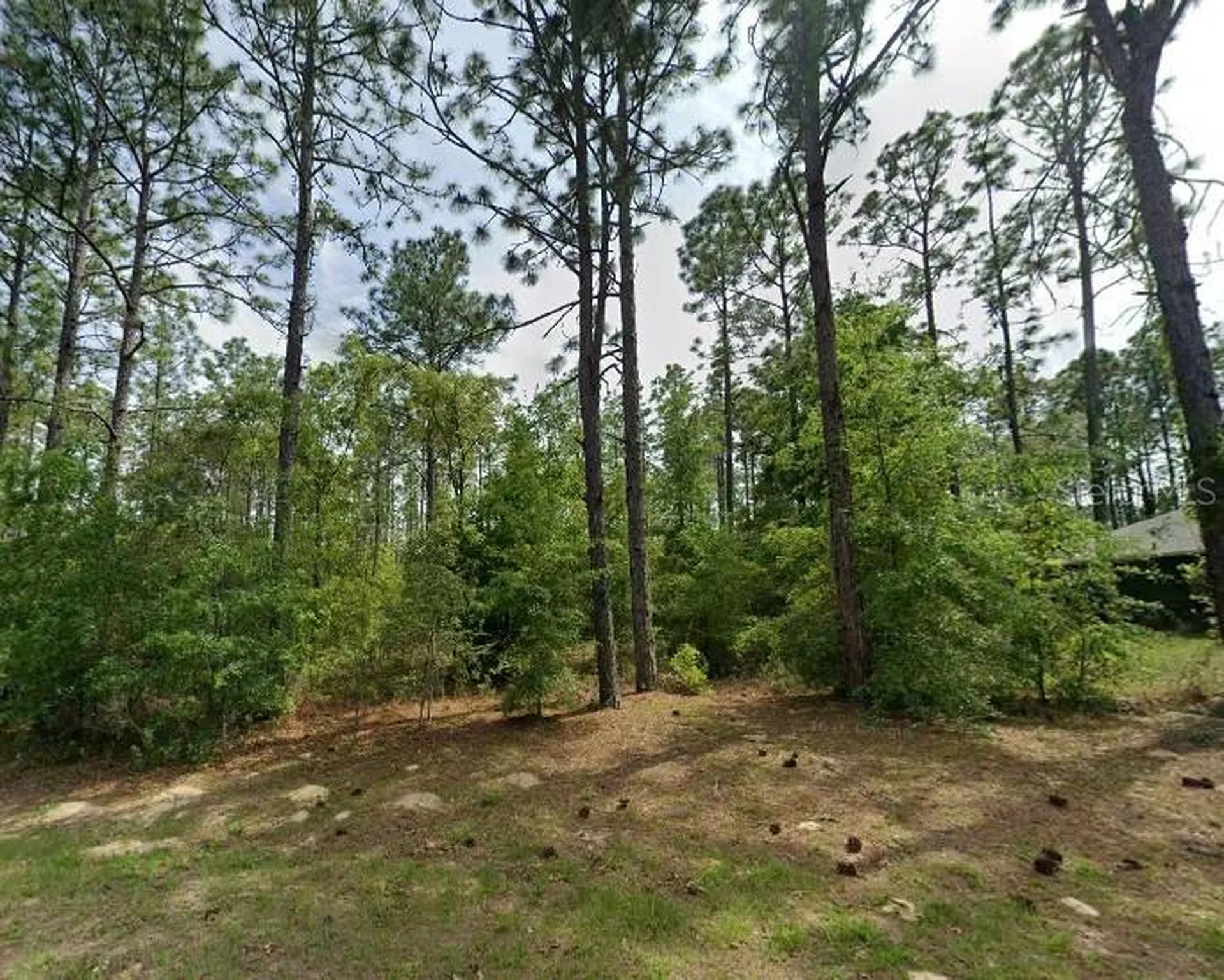 1204 W Fan Drive Citrus Springs FL 34434
