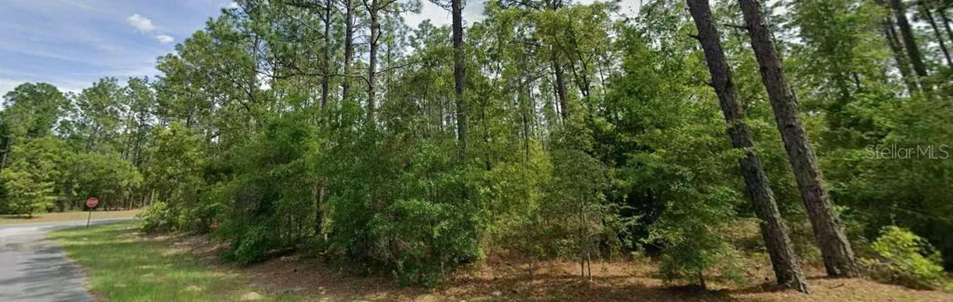 1204 W Fan Drive Citrus Springs FL 34434
