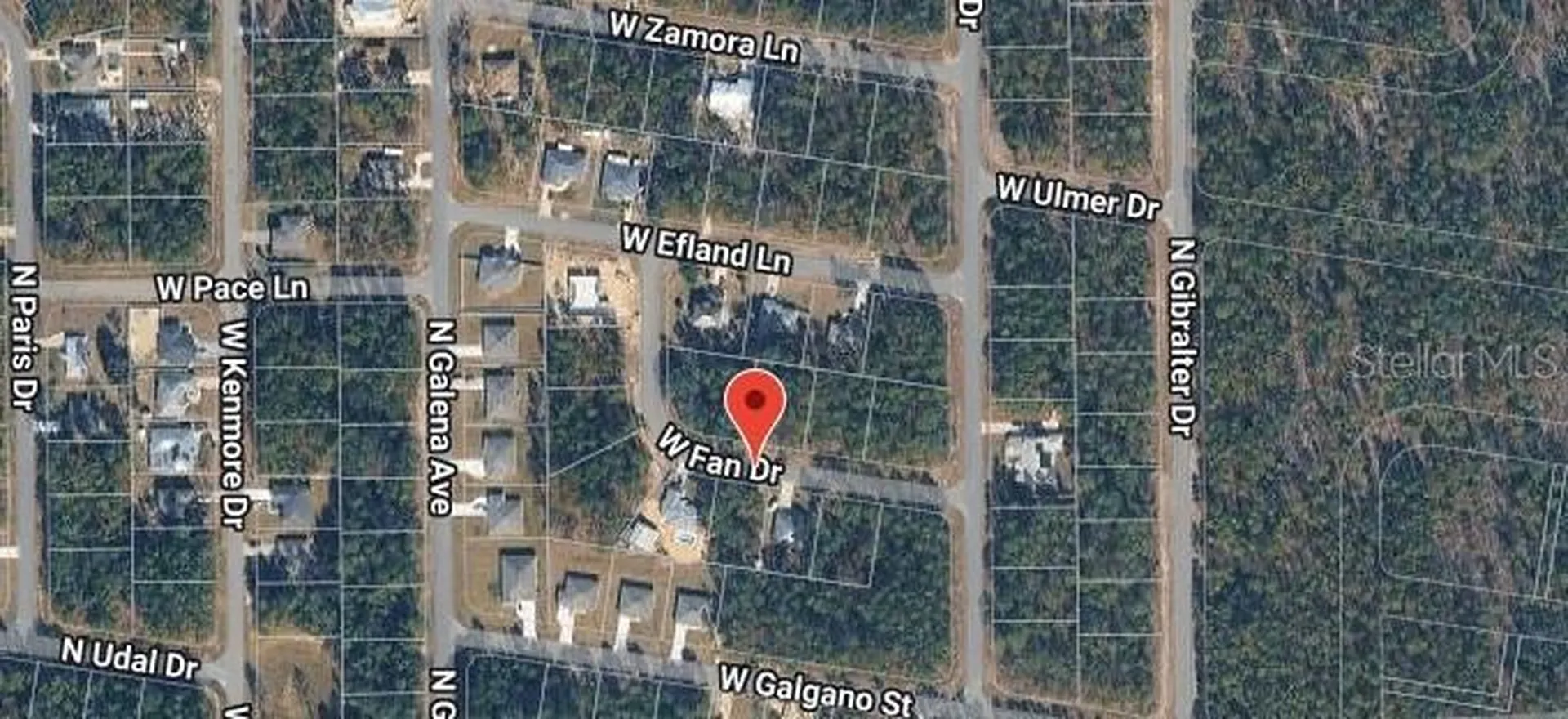 1204 W Fan Drive Citrus Springs FL 34434
