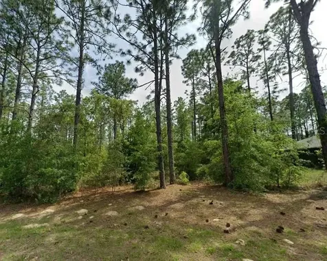 1204 W Fan Drive Citrus Springs FL 34434