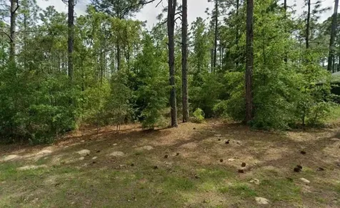 1204 W Fan Drive Citrus Springs FL 34434