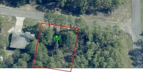 1204 W Fan Drive Citrus Springs FL 34434