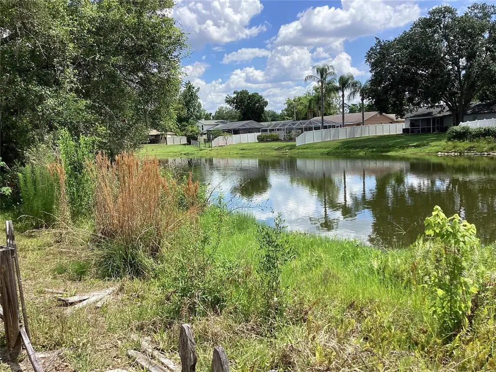 15803 Ironware Place Tampa FL 33624