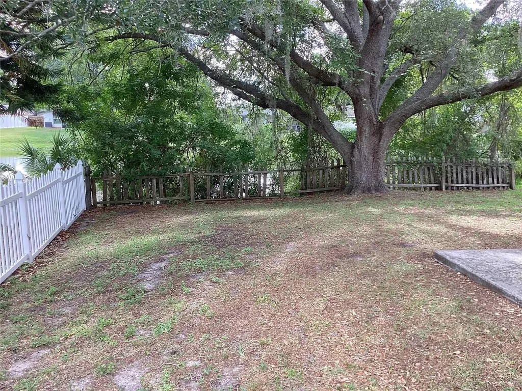 15803 Ironware Place Tampa FL 33624