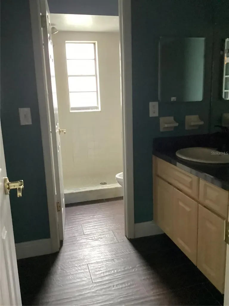 15803 Ironware Place Tampa FL 33624