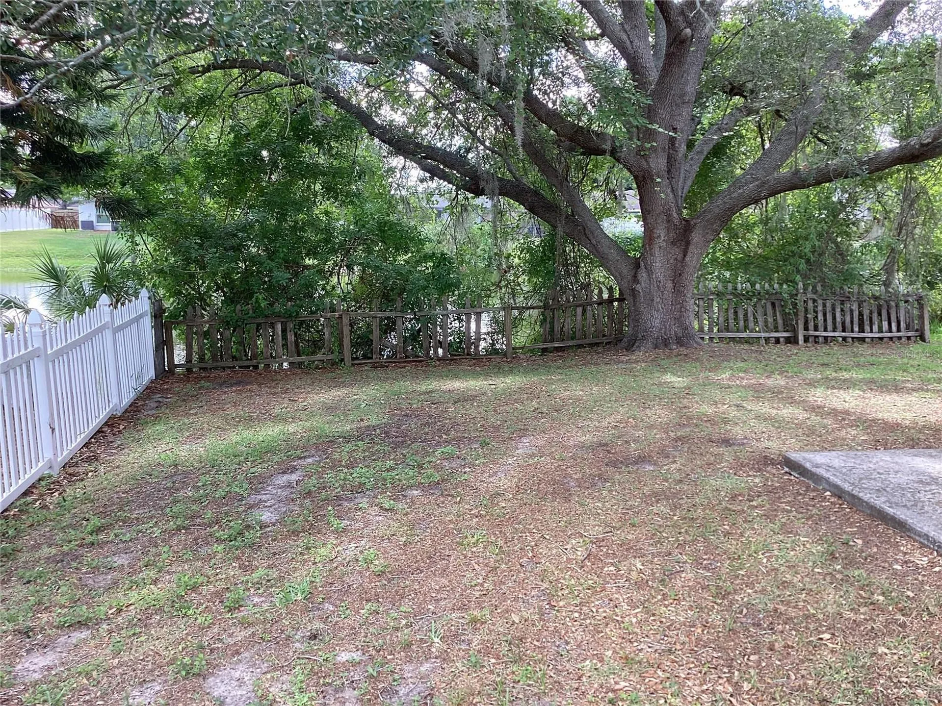 15803 Ironware Place Tampa FL 33624