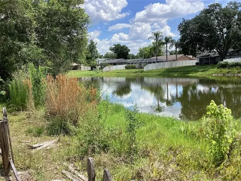 15803 Ironware Place Tampa FL 33624